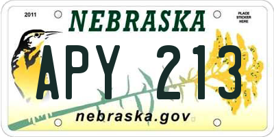 NE license plate APY213