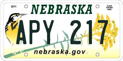 NE license plate APY217
