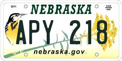 NE license plate APY218