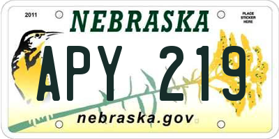 NE license plate APY219
