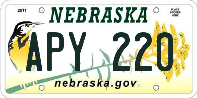 NE license plate APY220