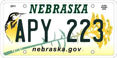 NE license plate APY223