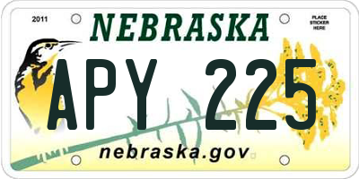 NE license plate APY225