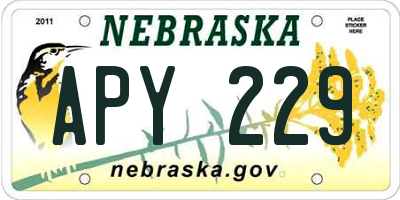 NE license plate APY229