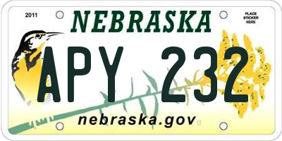NE license plate APY232