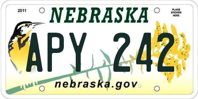 NE license plate APY242