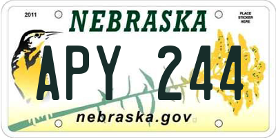 NE license plate APY244