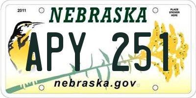NE license plate APY251