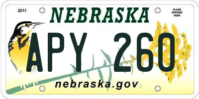 NE license plate APY260