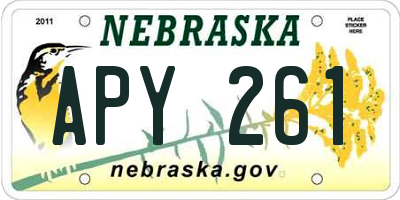 NE license plate APY261