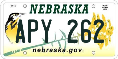 NE license plate APY262