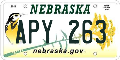 NE license plate APY263