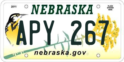 NE license plate APY267