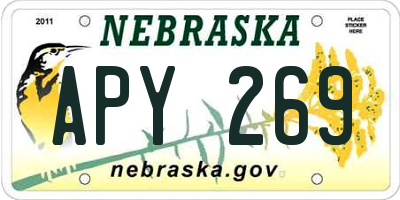 NE license plate APY269