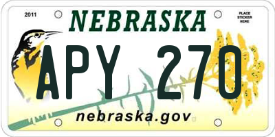 NE license plate APY270