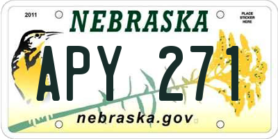 NE license plate APY271