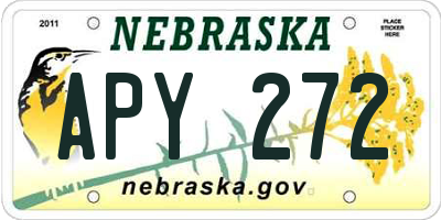 NE license plate APY272