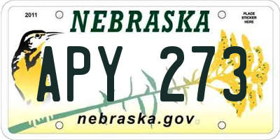 NE license plate APY273