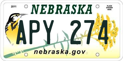 NE license plate APY274