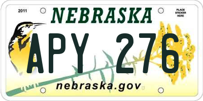 NE license plate APY276