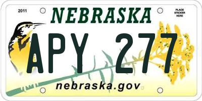 NE license plate APY277