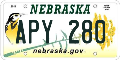 NE license plate APY280