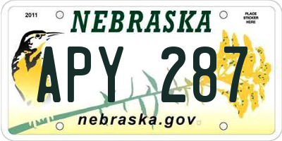 NE license plate APY287