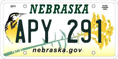 NE license plate APY291
