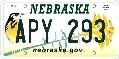 NE license plate APY293