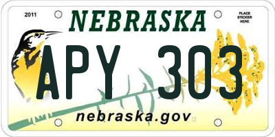 NE license plate APY303