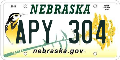 NE license plate APY304