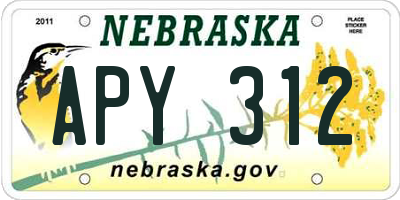 NE license plate APY312