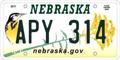 NE license plate APY314