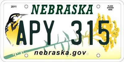 NE license plate APY315