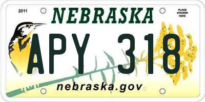 NE license plate APY318