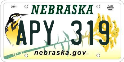 NE license plate APY319