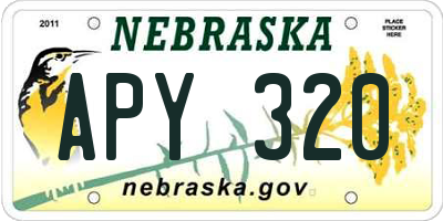 NE license plate APY320