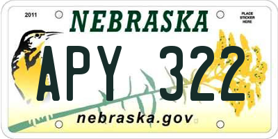NE license plate APY322