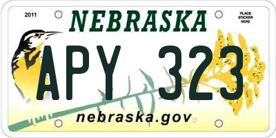 NE license plate APY323