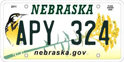 NE license plate APY324