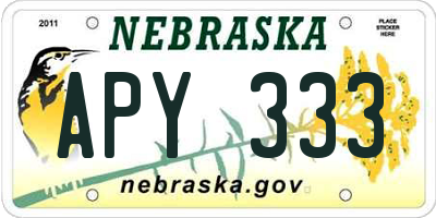 NE license plate APY333