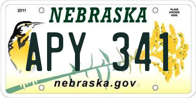 NE license plate APY341