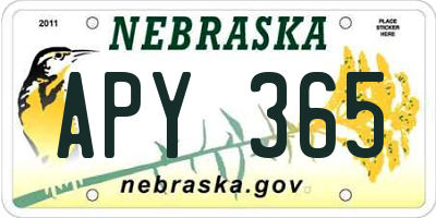 NE license plate APY365