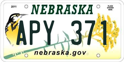 NE license plate APY371