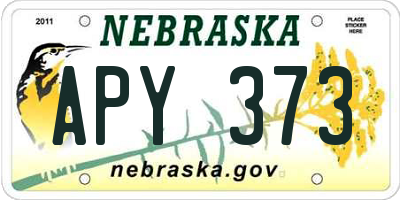 NE license plate APY373