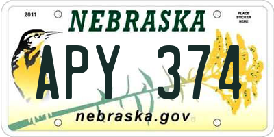 NE license plate APY374