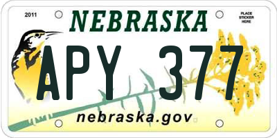 NE license plate APY377