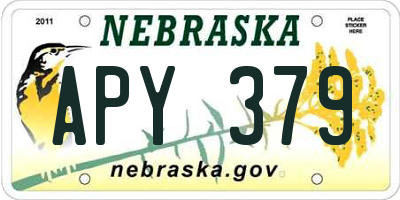NE license plate APY379