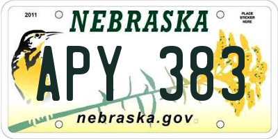 NE license plate APY383