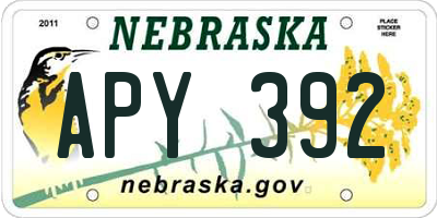NE license plate APY392